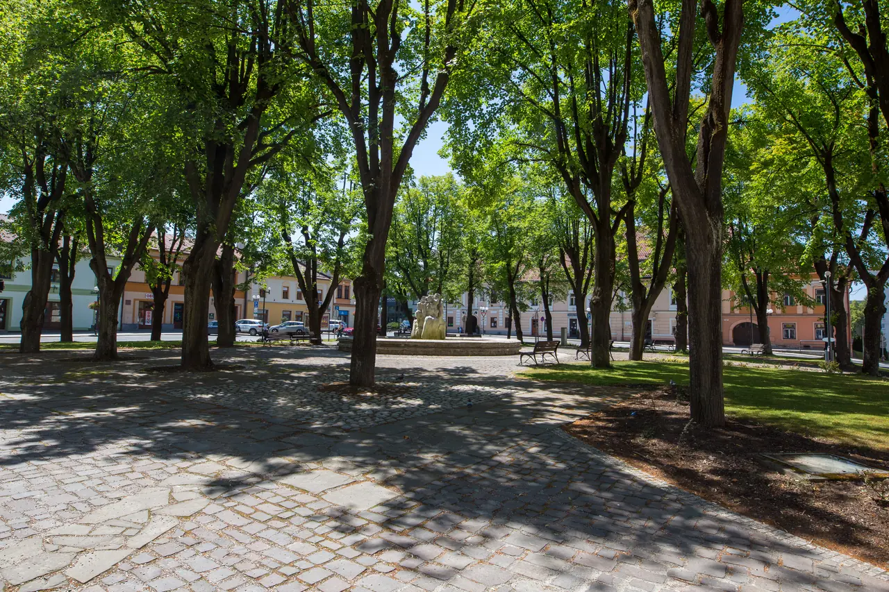 Rynek w Starej Ľubovni z szpalerem drzew